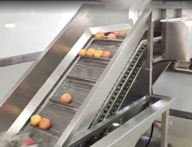 蘋果脆片加工流水線        