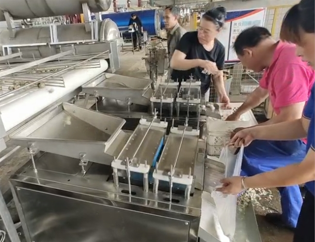 鵪鶉蛋蒸煮剝殼線試機(jī)成功
