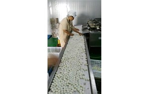 我公司鵪鶉蛋生產(chǎn)線螺旋煮蛋機(jī)獲得證書(shū)