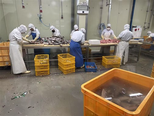 你知道袋裝即食魚應(yīng)該如何殺菌效果更好嗎？